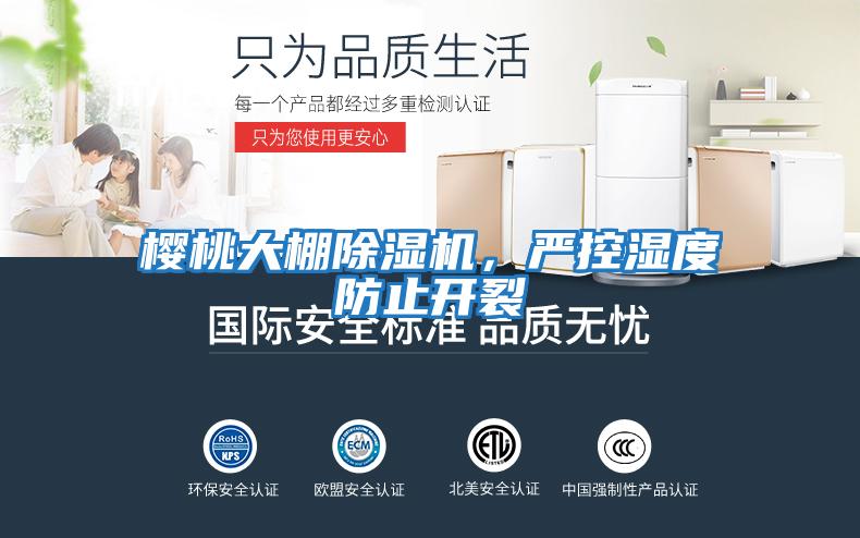 櫻桃大棚除濕機(jī)，嚴(yán)控濕度防止開裂