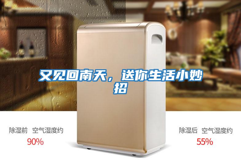 又見回南天，送你生活小妙招