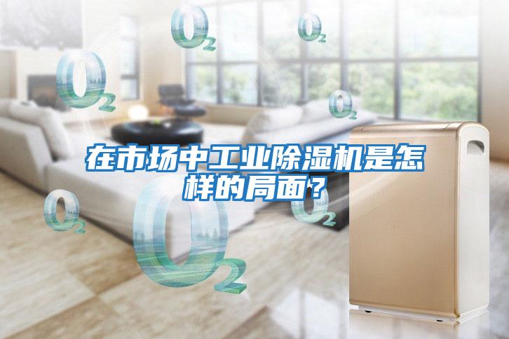 在市場中工業(yè)除濕機(jī)是怎樣的局面？