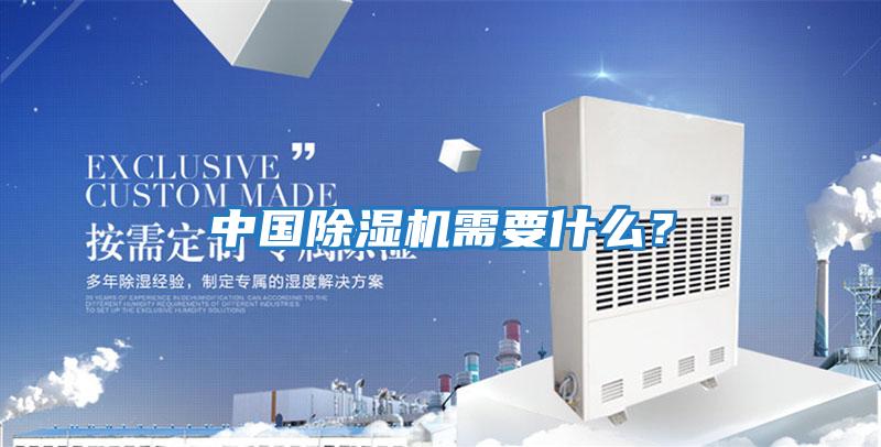 中國除濕機需要什么？