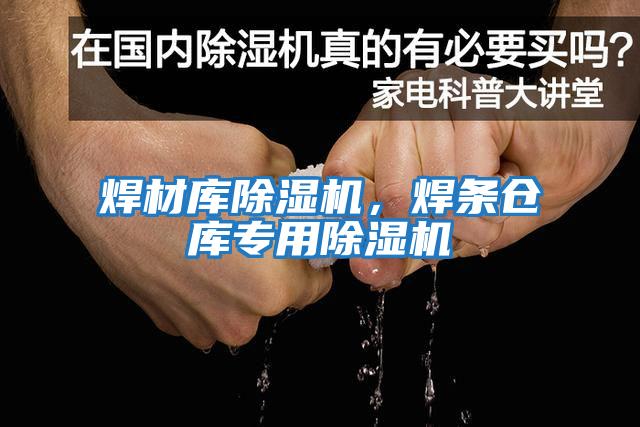 焊材庫除濕機(jī)，焊條倉庫專用除濕機(jī)