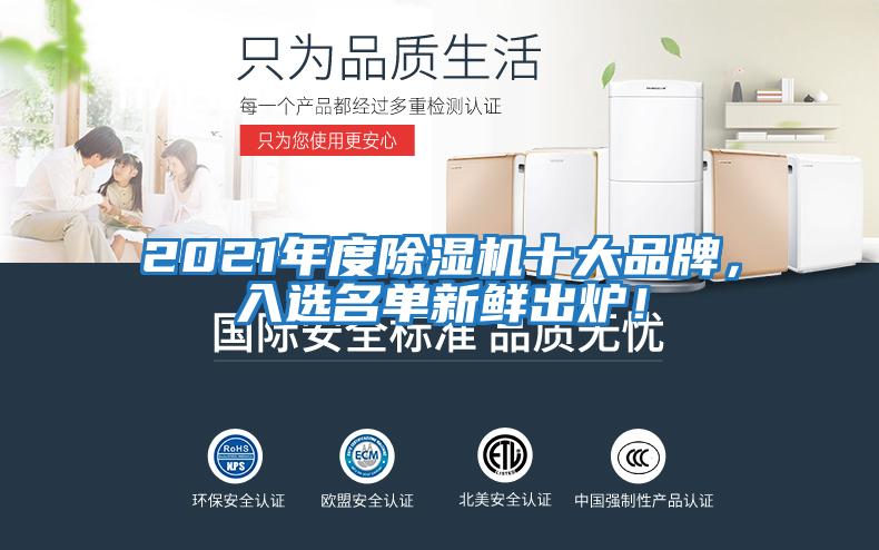 2021年度除濕機十大品牌，入選名單新鮮出爐！