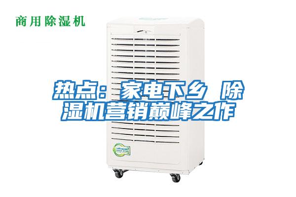 熱點(diǎn)：家電下鄉(xiāng) 除濕機(jī)營(yíng)銷(xiāo)巔峰之作
