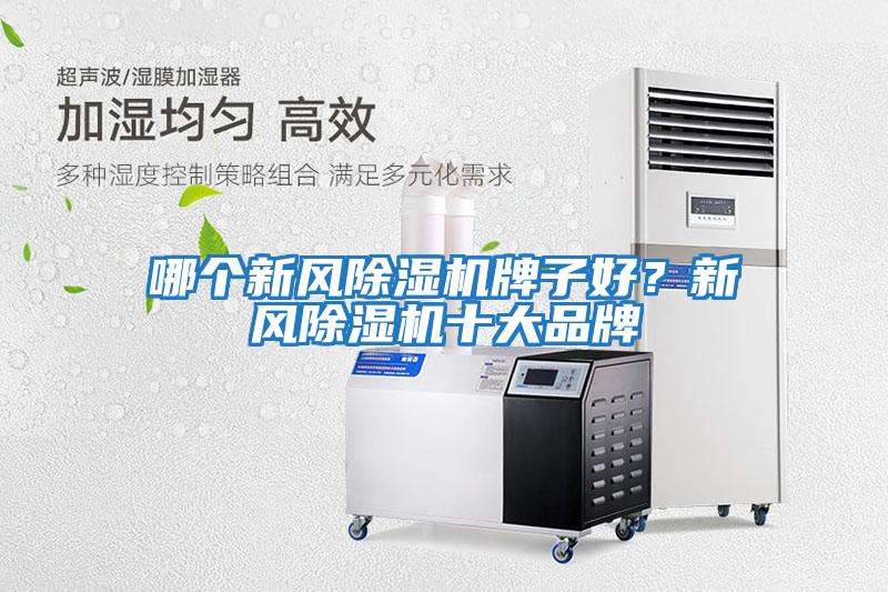 哪個新風(fēng)除濕機(jī)牌子好？新風(fēng)除濕機(jī)十大品牌