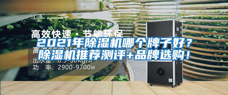 2021年除濕機哪個牌子好？除濕機推薦測評+品牌選購！