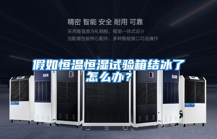 假如恒溫恒濕試驗箱結(jié)冰了怎么辦?