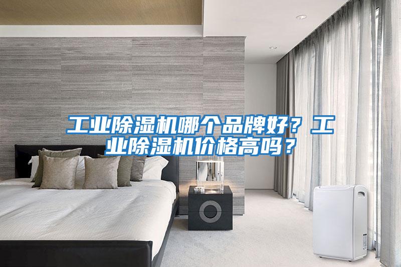 工業除濕機哪個品牌好？工業除濕機價格高嗎？