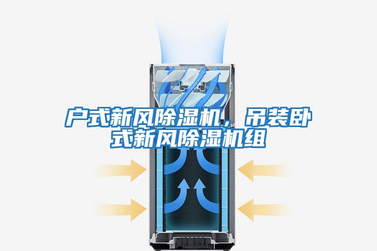 戶式新風除濕機，吊裝臥式新風除濕機組