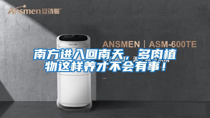 南方進入回南天，多肉植物這樣養才不會有事！