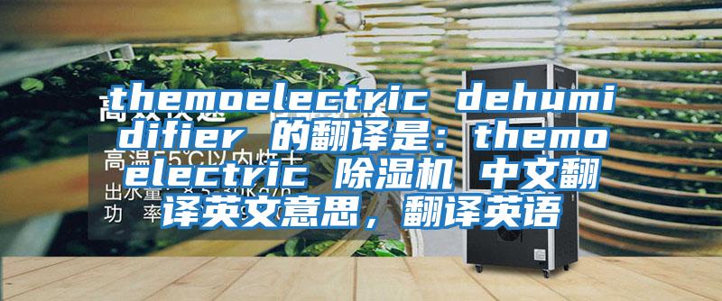 themoelectric dehumidifier 的翻譯是：themoelectric 除濕機(jī) 中文翻譯英文意思，翻譯英語