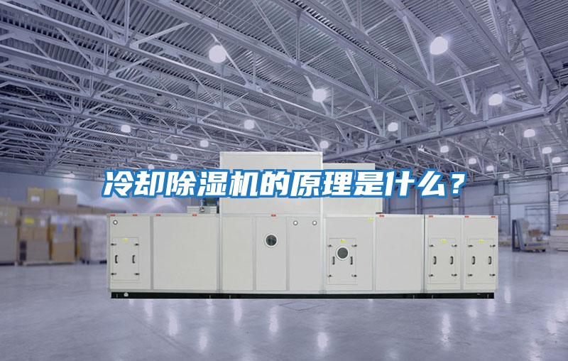 冷卻除濕機的原理是什么？