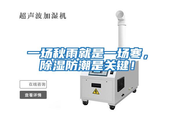 一場秋雨就是一場寒，除濕防潮是關鍵！
