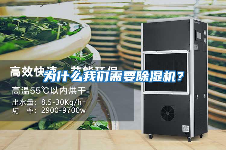 為什么我們需要除濕機？