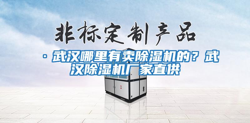 ·武漢哪里有賣除濕機(jī)的？武漢除濕機(jī)廠家直供