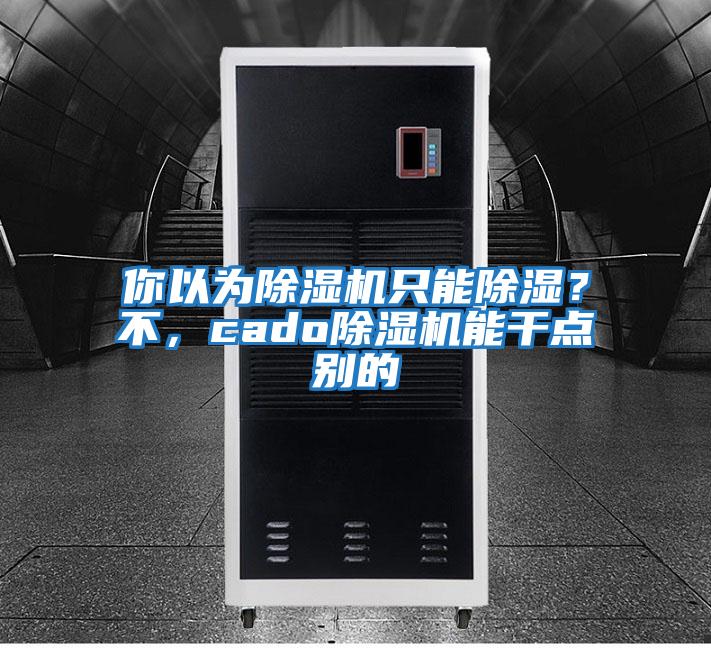 你以為除濕機(jī)只能除濕？不，cado除濕機(jī)能干點(diǎn)別的