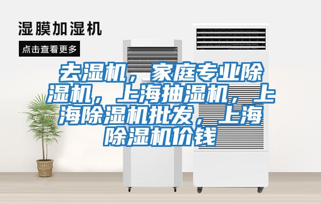 去濕機，家庭專業除濕機，上海抽濕機，上海除濕機批發，上海除濕機價錢