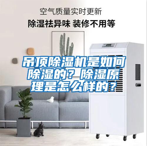 吊頂除濕機是如何除濕的？除濕原理是怎么樣的？
