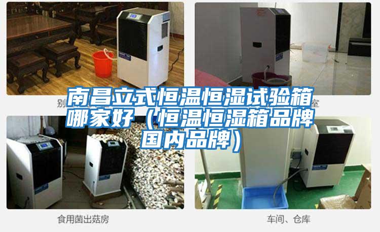 南昌立式恒溫恒濕試驗箱哪家好(恒溫恒濕箱品牌國內品牌)
