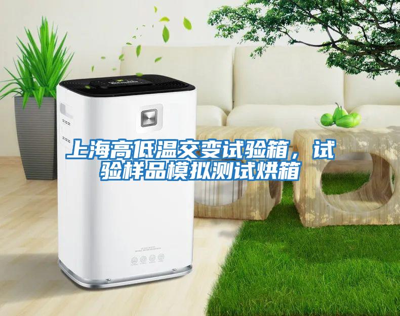 上海高低溫交變試驗箱，試驗樣品模擬測試烘箱