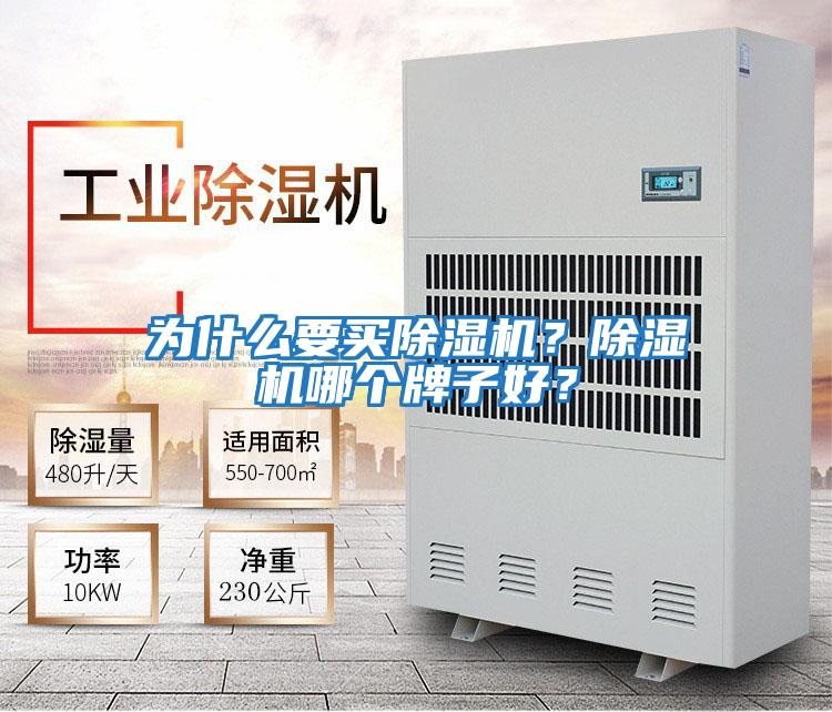 為什么要買除濕機？除濕機哪個牌子好？