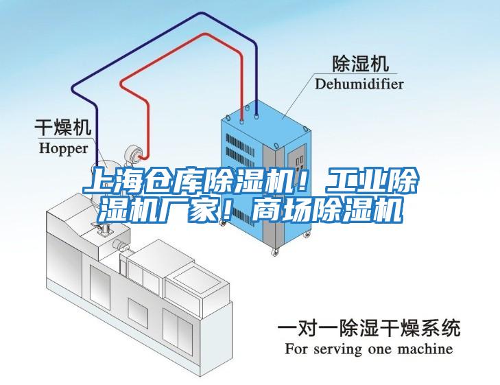 上海倉庫除濕機(jī)！工業(yè)除濕機(jī)廠家！商場(chǎng)除濕機(jī)