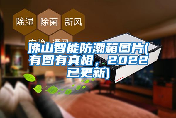 佛山智能防潮箱圖片(有圖有真相，2022已更新)