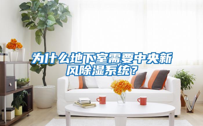 為什么地下室需要中央新風除濕系統？