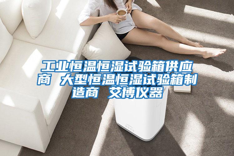 工業恒溫恒濕試驗箱供應商 大型恒溫恒濕試驗箱制造商 艾博儀器