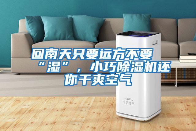 回南天只要遠方不要“濕”，小巧除濕機還你干爽空氣