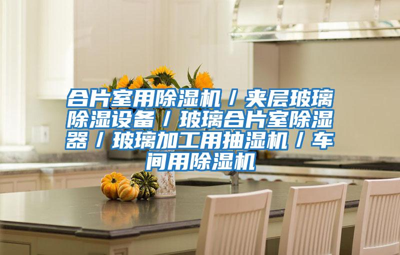合片室用除濕機/夾層玻璃除濕設備/玻璃合片室除濕器/玻璃加工用抽濕機/車間用除濕機