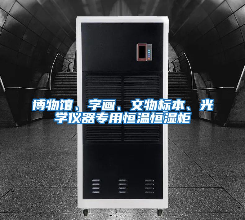 博物館、字畫、文物標(biāo)本、光學(xué)儀器專用恒溫恒濕柜