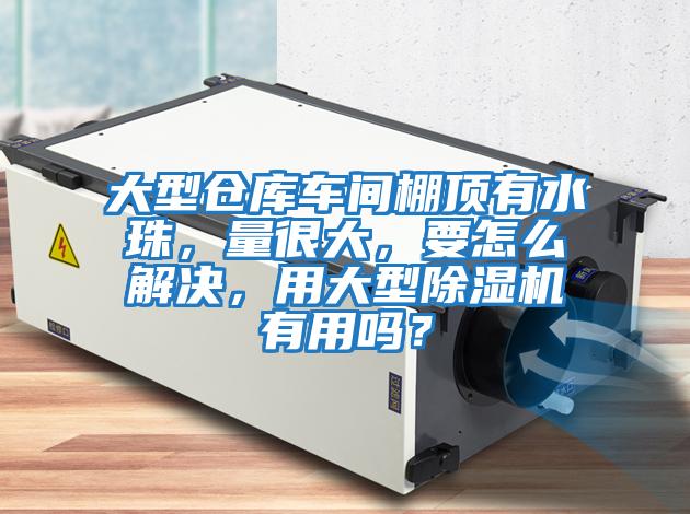 大型倉庫車間棚頂有水珠，量很大，要怎么解決，用大型除濕機有用嗎？
