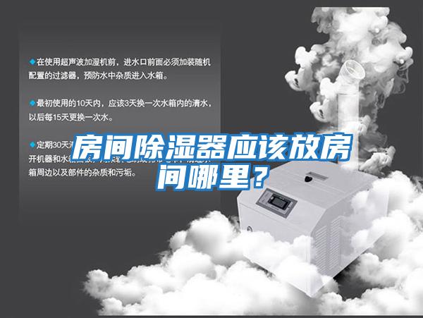 房間除濕器應(yīng)該放房間哪里?