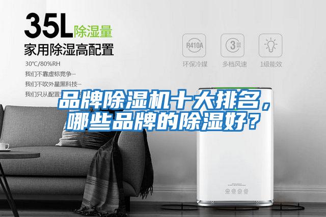 品牌除濕機十大排名,哪些品牌的除濕好?