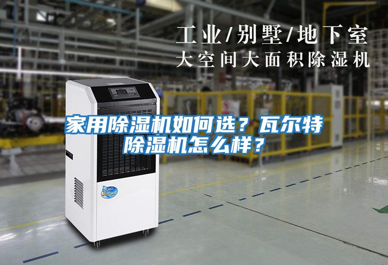 家用除濕機如何選？瓦爾特除濕機怎么樣？