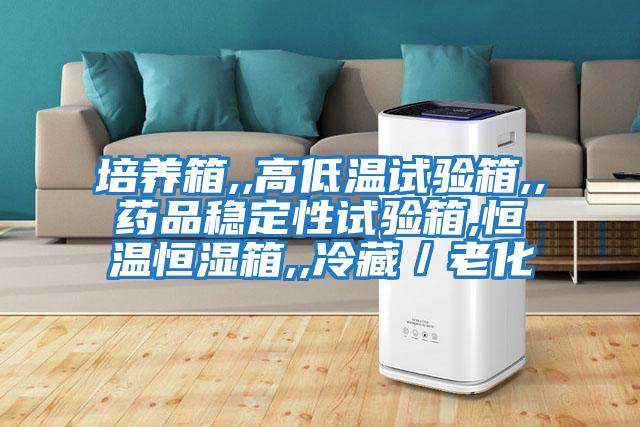 培養箱,,高低溫試驗箱,,藥品穩定性試驗箱,恒溫恒濕箱,,冷藏／老化
