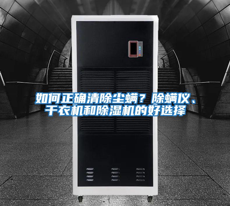 如何正確清除塵螨？除螨儀、干衣機(jī)和除濕機(jī)的好選擇