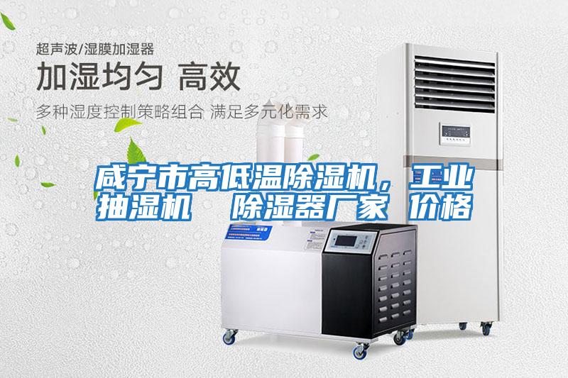 咸寧市高低溫除濕機,工業(yè)抽濕機 除濕器廠家 價格