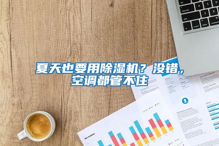 夏天也要用除濕機(jī)？沒(méi)錯(cuò)，空調(diào)都管不住