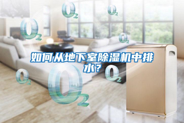如何從地下室除濕機中排水？
