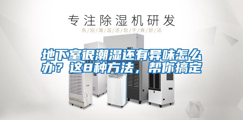 地下室很潮濕還有異味怎么辦?這8種方法,幫你搞定