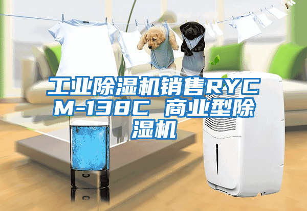 工業除濕機銷售RYCM-138C 商業型除濕機
