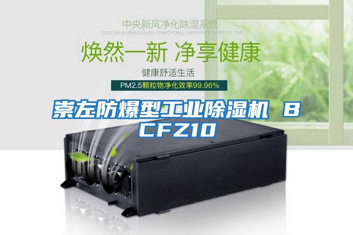 崇左防爆型工業除濕機 BCFZ10