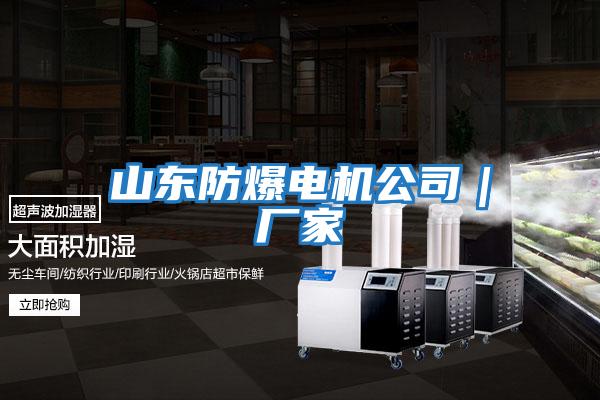 山東防爆電機公司|廠家