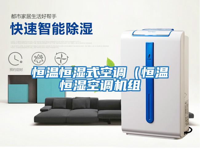恒溫恒濕式空調(diào)(恒溫恒濕空調(diào)機(jī)組