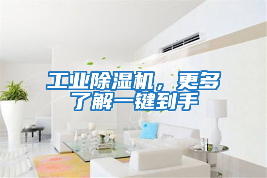 工業(yè)除濕機(jī)，更多了解一鍵到手