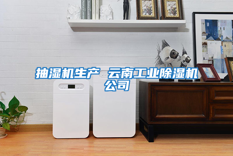 抽濕機(jī)生產(chǎn) 云南工業(yè)除濕機(jī)公司