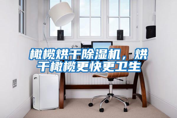 橄欖烘干除濕機，烘干橄欖更快更衛(wèi)生
