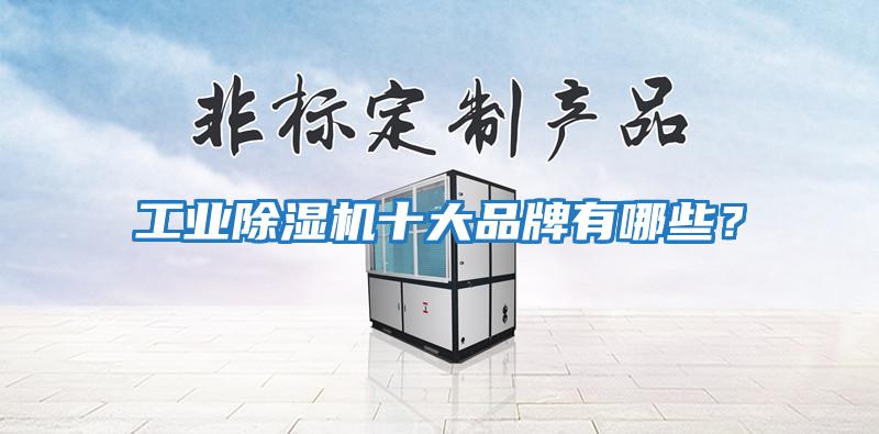 工業(yè)除濕機(jī)十大品牌有哪些？
