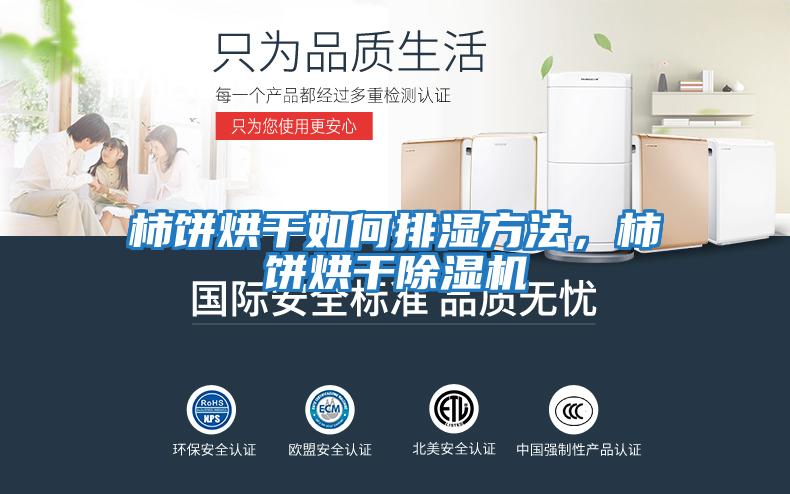 柿餅烘干如何排濕方法，柿餅烘干除濕機(jī)